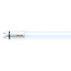 Philips Tube LED T8 MASTER - 1200 mm - 12W - 6500K Blanc Froid - 2100 lm - 170 lm/W