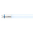 Philips Tube LED T8 MASTER - 1500 mm - 18W - 6500K Blanc Froid - 3100 lm - 170 lm/W