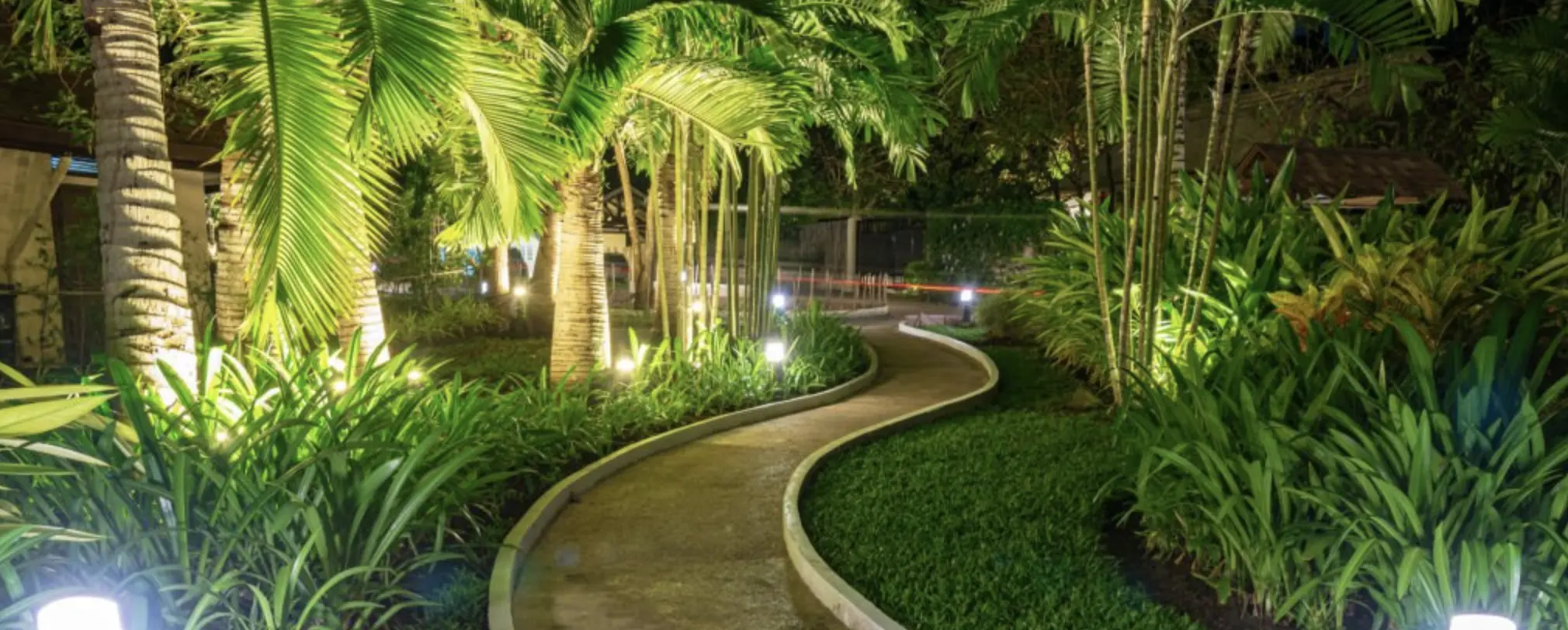 Éclairage LED de jardin : créez une atmosphère unique et durable en extérieur