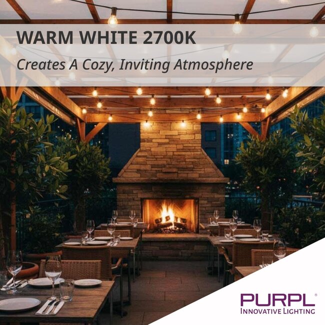PURPL Guirlande lumineuse G40 24 V | 30 ampoules | Blanc chaud 2700 K | 16,5 m | IP45 | Prise européenne