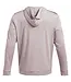 Under Armour UA Playoff Hoodie Tetra Gray