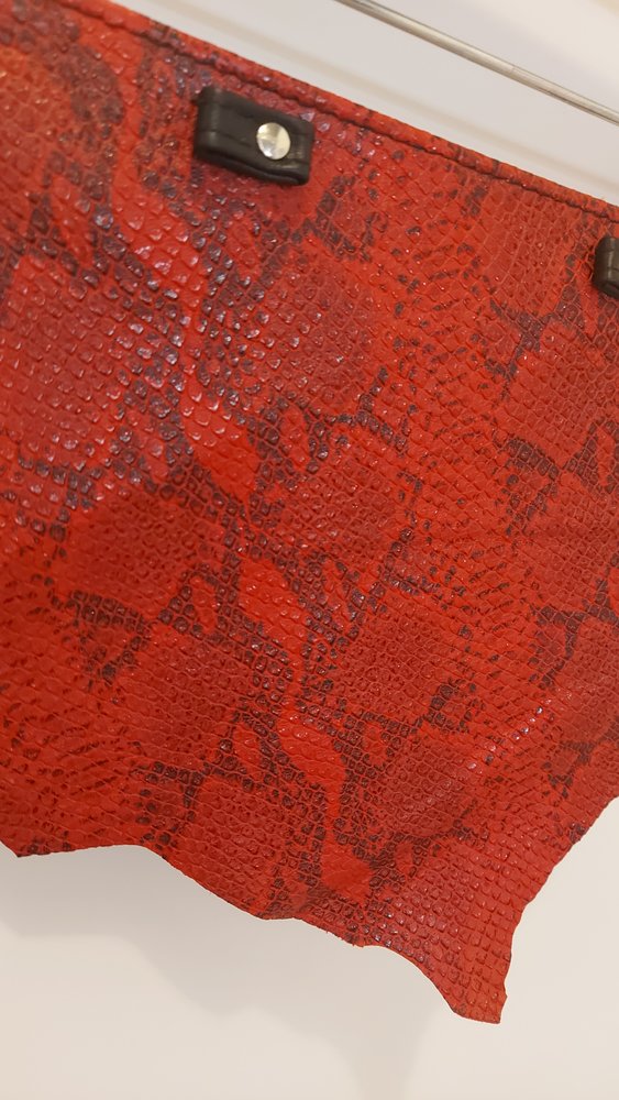 Bizonder Flapje Jane Rokje Rood snake