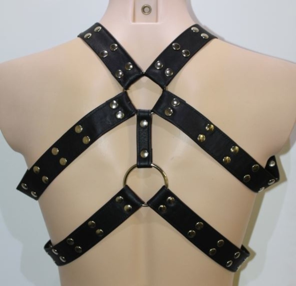 Bizonder Harnas Roger