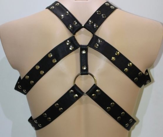 Bizonder Harnas Roger