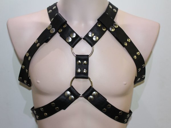 Bizonder Harnas Roger