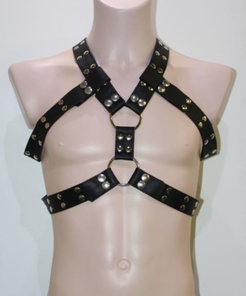 Bizonder Harnas Roger