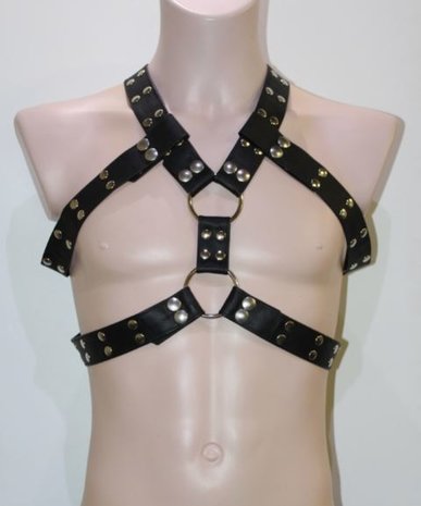 Bizonder Harnas Roger