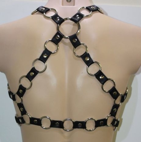 Bizonder Harnas met Ringen