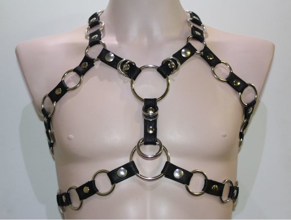 Bizonder Harnas met Ringen