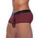 Gregg Homme Boxer Torridz Burgun