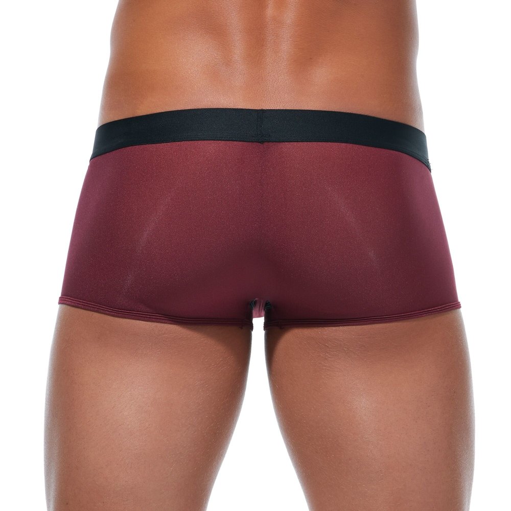 Gregg Homme Boxer Torridz Burgun