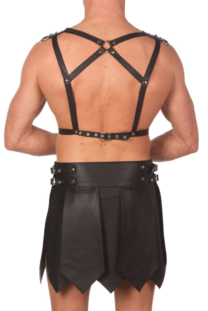 Bizonder Tuigharnas met Schouderstukken Tuig03