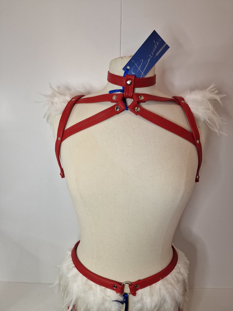Bizonder Jarretel Rood met Witte Veren