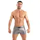TOF Paris Zwemshort Metal Zilver TOF Paris Zwemshort Metal Zilver