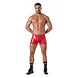 TOF Paris Lak Boxer met Rits Rood TOF Paris Lak Boxer met Rits Rood