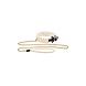 Guilty Pleasure Parel Halsband met Leash Guilty Pleasure Parel Halsband met Leash