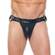 Gregg Homme String Desert Kink Gregg Homme String Desert Kink
