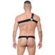 Gregg Homme Harnas Desert Kink Gregg Homme Harnas Desert Kink