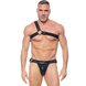 Gregg Homme Harnas Desert Kink Gregg Homme Harnas Desert Kink