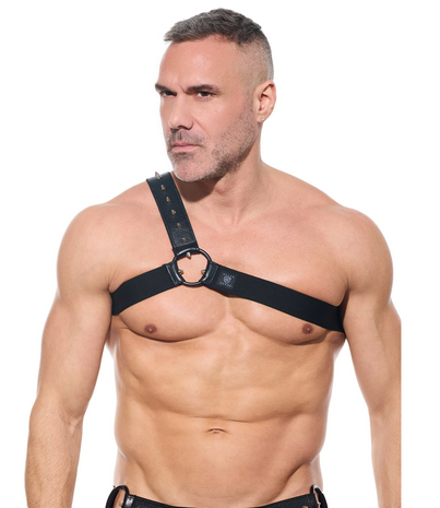 Gregg Homme Harnas Desert Kink Gregg Homme Harnas Desert Kink