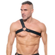 Gregg Homme Harnas Desert Kink Gregg Homme Harnas Desert Kink
