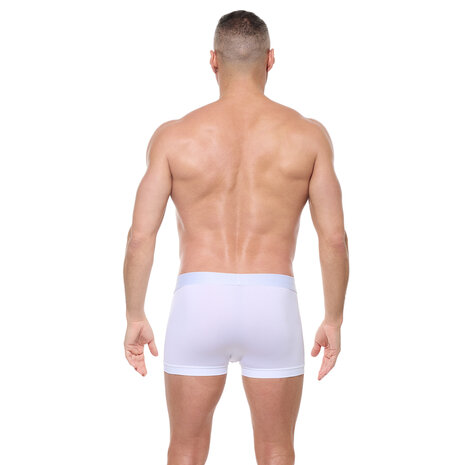 Gregg Homme Boxershort Torque Wit