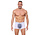 Boxershort Torque Wit