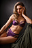 BH Venus Purple