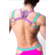AssTricks Harnas N.Pink/ N. Yellow/ Aqua