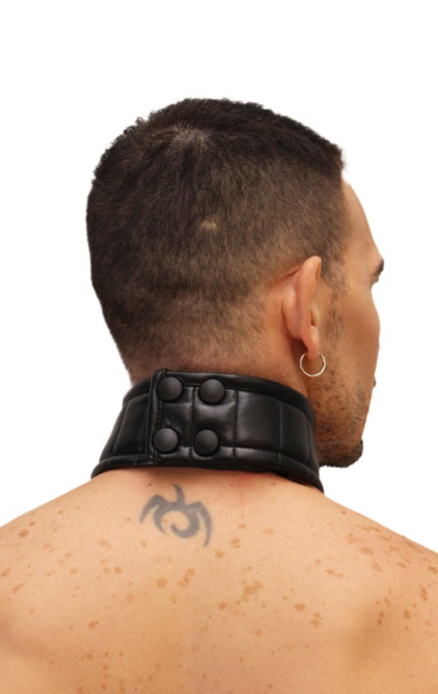 ROK Wild Doggy Swat Collar Zwart