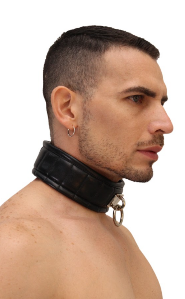ROK Wild Doggy Swat Collar Zwart