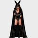 Kinky Diva Raven high Gloss Cape