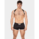 Barcode Berlin Short Norfok Zwart Barcode Berlin Short Norfok Zwart