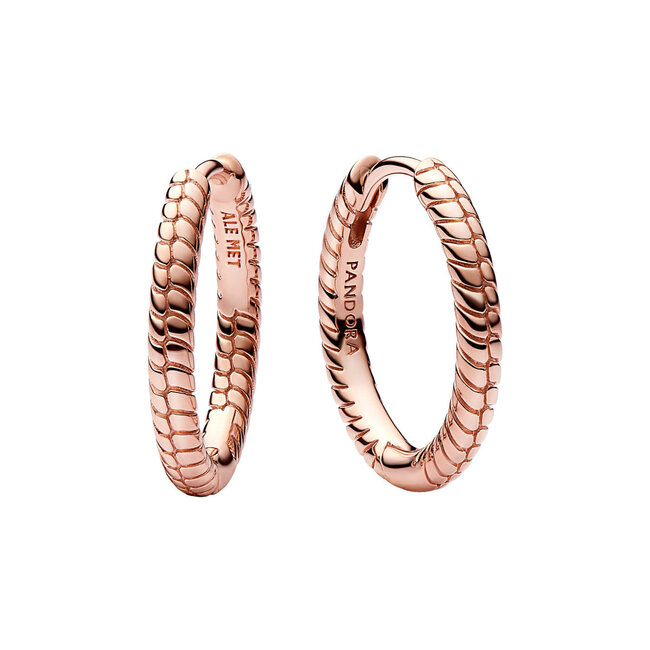 Pandora Pandora Moments Small Charm Hoop Earrings