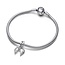 Pandora Splittable Mother & Daughter Dangle Charm