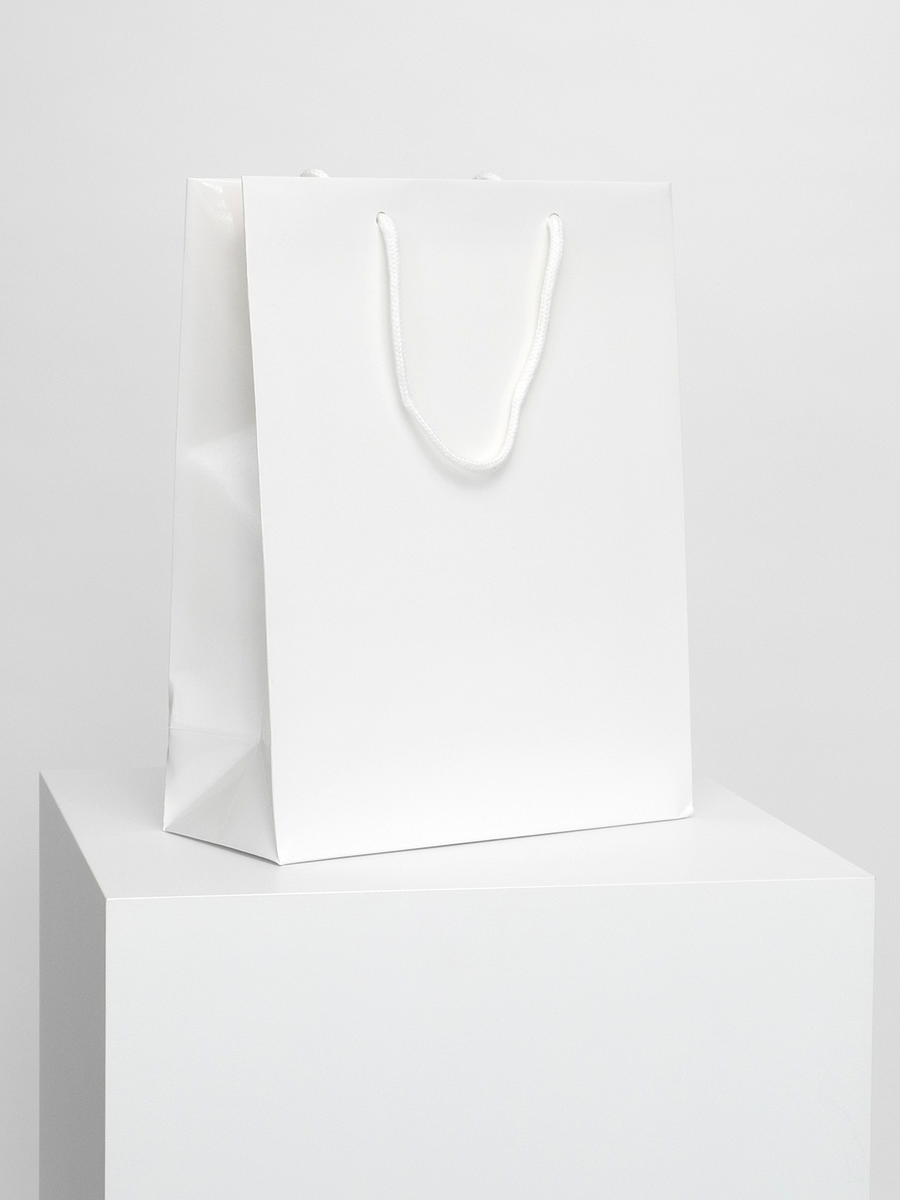 Paper Cadeau Bag Glossy White