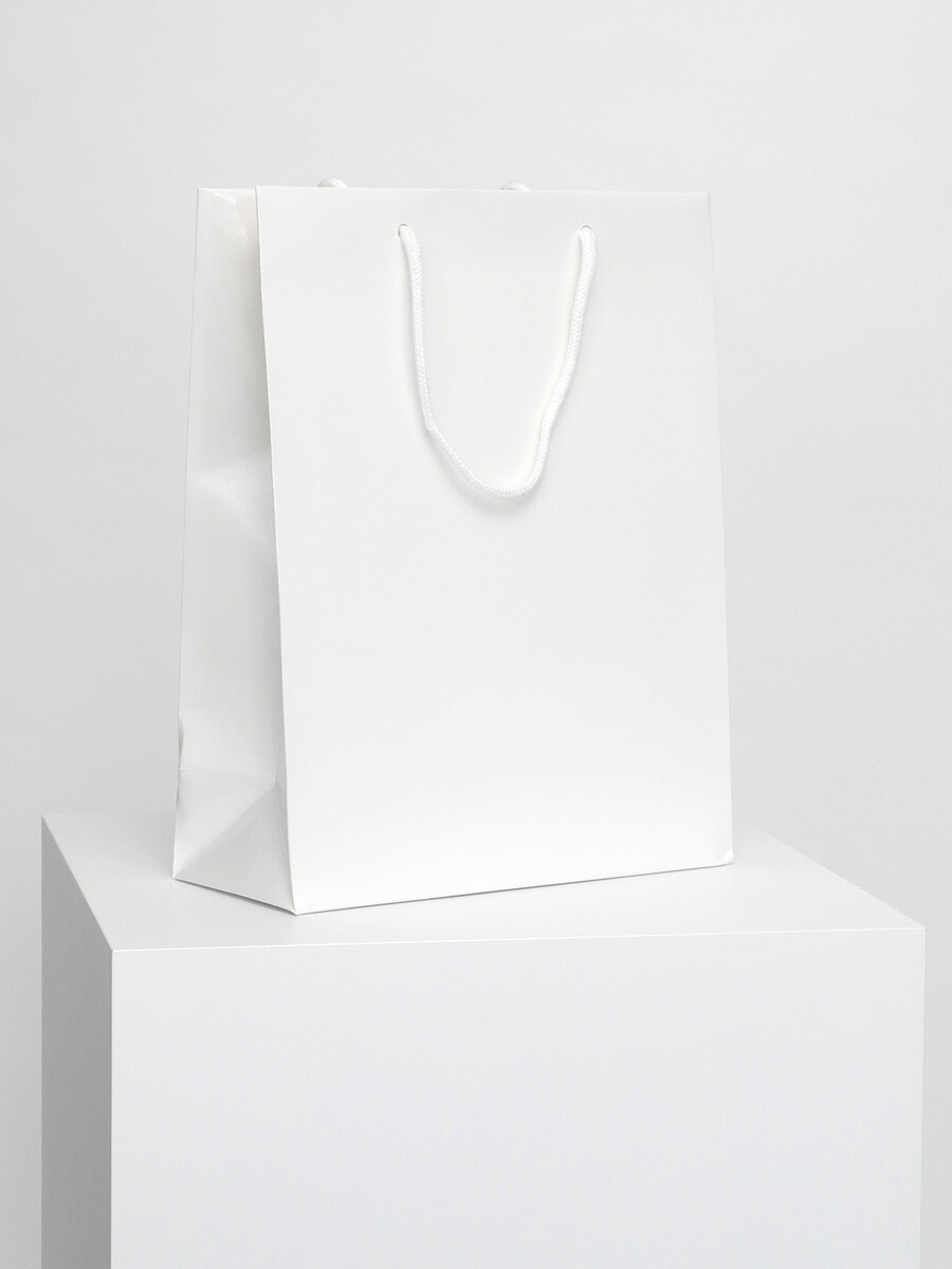 Paper Gift Bag Glossy White