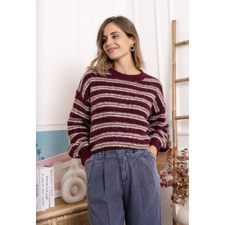 KILKY YP KNIT Bordeaux