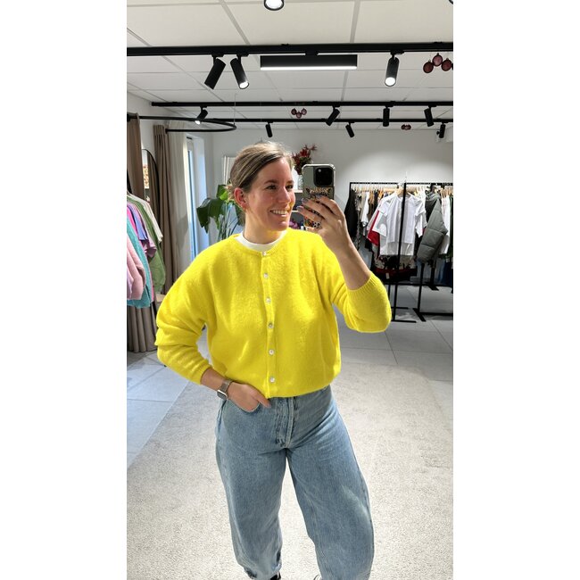 VITOW CARDIGAN Pineapple