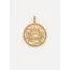 ZODIAC CHARM KREEFT Gold