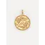 Les Soeurs ZODIAC CHARM VISSEN Gold