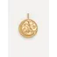 ZODIAC CHARM VISSEN Gold