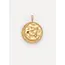 ZODIAC CHARM STEENBOK Gold