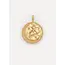 ZODIAC CHARM LEEUW Gold