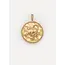 ZODIAC CHARM SCHORPIOEN Gold