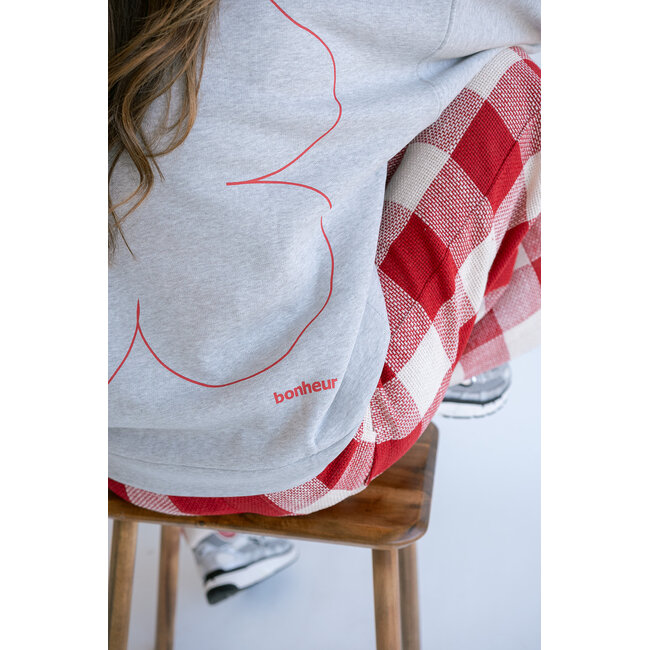 ALBA SWEATER Grey Red