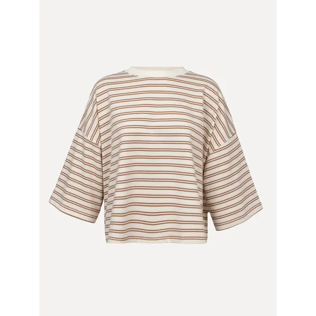 CARY SHIRT White Brown Stripe