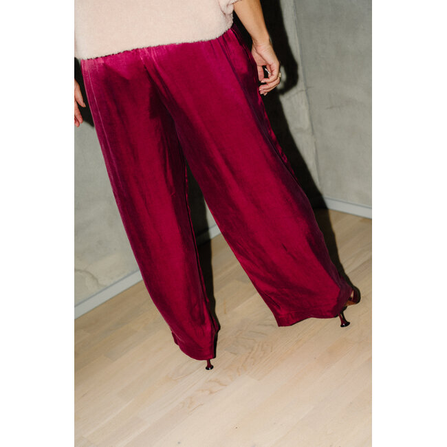 SHAELAN PANTS Rhododendron