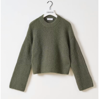 Edited SALOME JUMPER Beetle