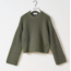 Edited SALOME JUMPER Beetle